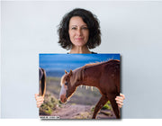 Wild Mustang Wall Art 'Dusk Wanderer' - Chestnut Horse with White Blaze - Western Decor