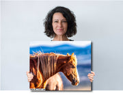 Wild Horse Photography Wall Art - 'Mountain Sentinel' - Chestnut Mustang Canvas Print Western Decor
