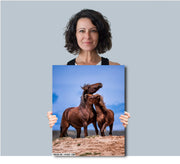 Wild Mustang Wall Art 'Eternal Bond' - Brown Horse Photography Print - Western Decor