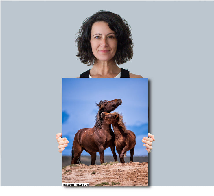 Wild Mustang Wall Art 'Eternal Bond' - Brown Horse Photography Print - Western Decor
