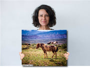 Wild Mustang Photography 'Desert Sentinel' - Western Horse Wall Art - Pinto Mustang Decor