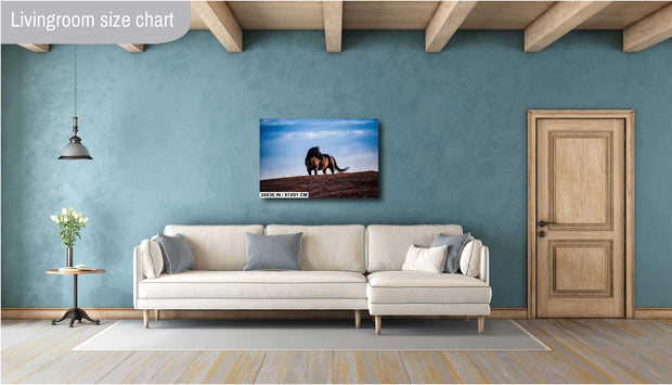Wild Horse Photography Wall Art - Solitary Sentinel - Western Wilderness Horse Canvas Print
