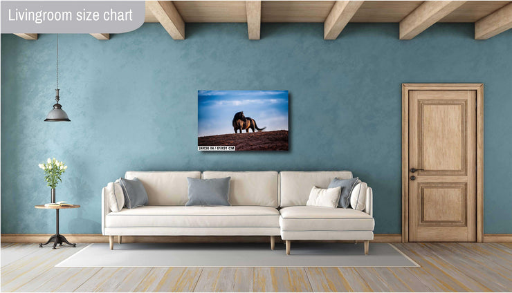 Wild Horse Photography Wall Art - Solitary Sentinel - Western Wilderness Horse Canvas Print