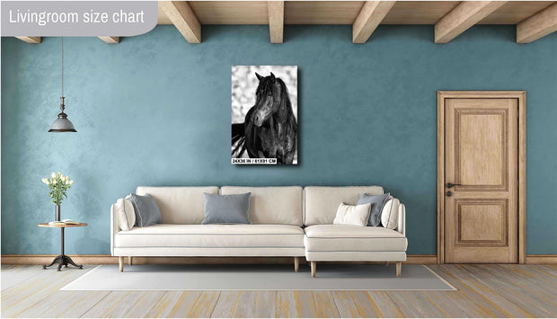 Wild Horse Wall Art "Shadow Stallion" - Black & White Mustang Portrait - Western Photography