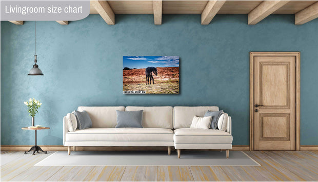 Sentinel of the Desert - Black Mustang Photography - Wild Horse Wall Art - Western Decor