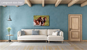 Majestic Paint Horses Wall Art - Wild Mustang Photography - Western Ranch Decor - Equine Art