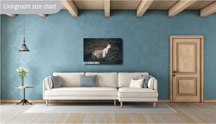 Dusk Sentinel - Wild Mustang Photography - Gray Horse Wall Art - Western Wildlife Decor