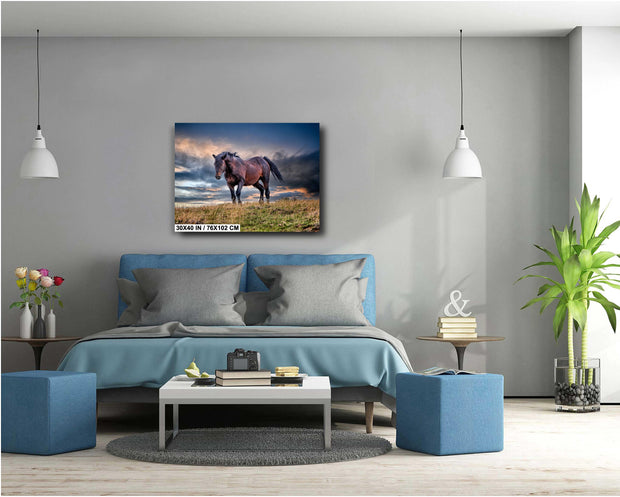 Tempest Spirit - Wild Mustang Photography - Stormy Prairie Sky - Western Horse Wall Art