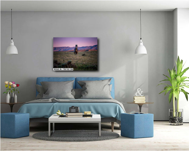 Wild Mustang Wall Art - Dusk Guardian - Western Horse Photography - Purple Sunset Decor