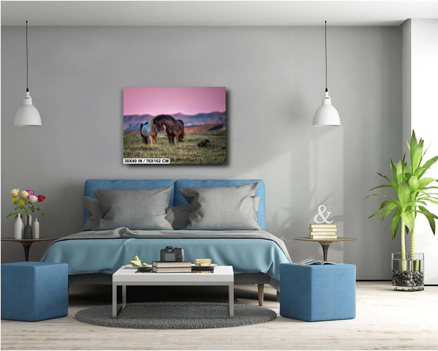 Wild Horse Photography - Tender Moment at Dusk - Western Mustang Wall Art - Equine Canvas