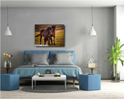 Dark Mustang Duo - Sunset Prairie Horse Photography - Rustic Western Home Decor
