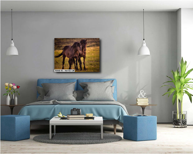 Dark Mustang Duo - Sunset Prairie Horse Photography - Rustic Western Home Decor