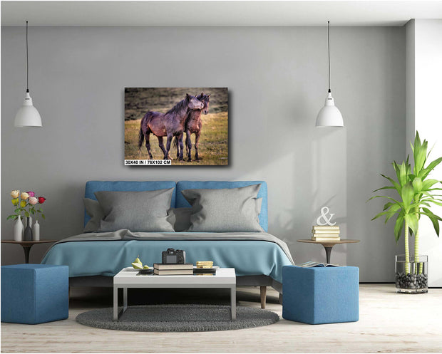 Eternal Bond - Wild Mustang Photography - Western Horse Wall Art - Rustic Home Decor