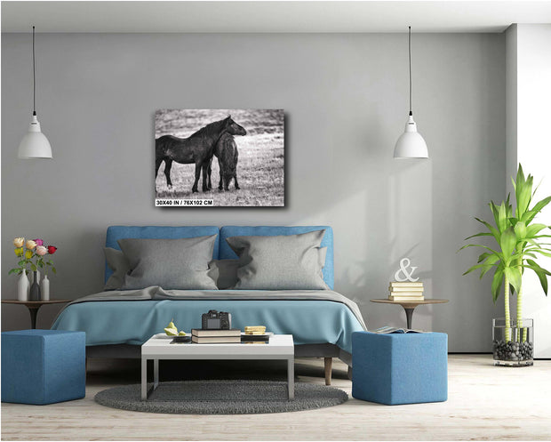 Silent Bond - Black and White Wild Horse Photography - Western Mustang Wall Art