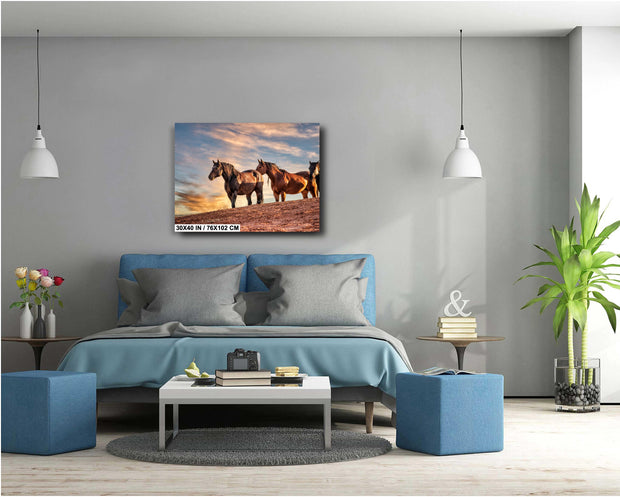Wild Mustang Photography - Sunset Ridge Guardians - Western Horse Wall Art