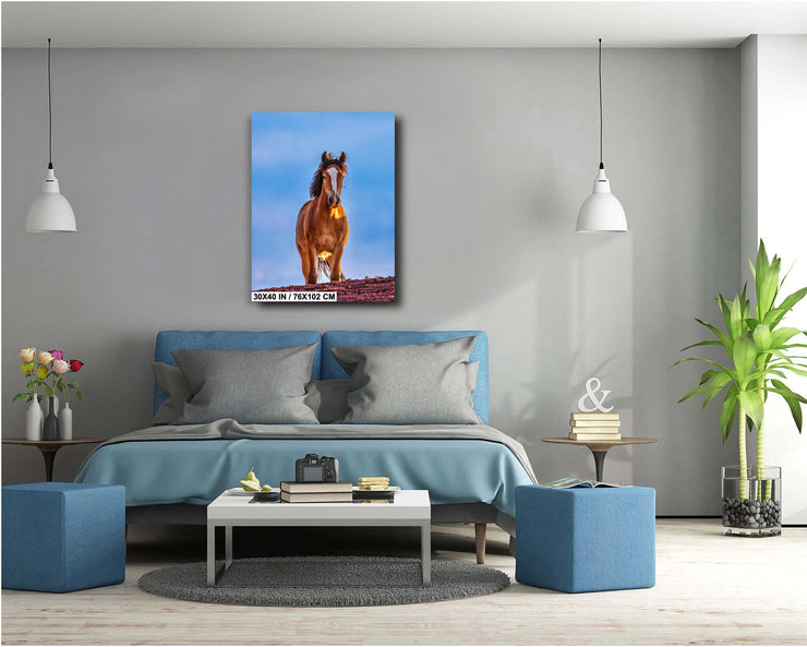 Majestic Mustang Wall Art - Wild Horse at Dusk - Blue Sky Western Photography