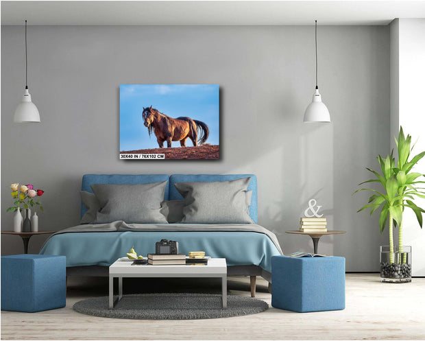 Golden Hour Mustang - Wild Horse Photography - Desert Ridgeline Wall Art - Western Decor
