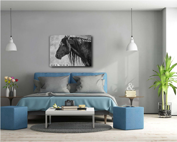 Rugged Majesty - Black and White Wild Horse Wall Art - Weathered Mustang Profile