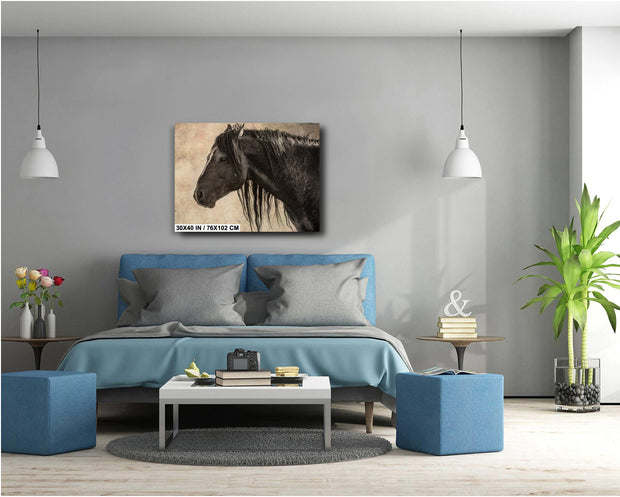 Midnight Silhouette - Vintage Black Horse Photography - Rustic Equine Wall Art Decor