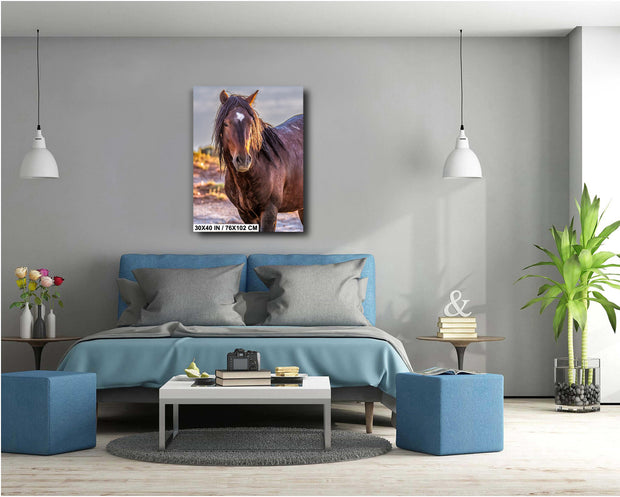 Heart-Marked Mustang - Wild Horse Fine Art Photography - Desert Stallion Wall Art