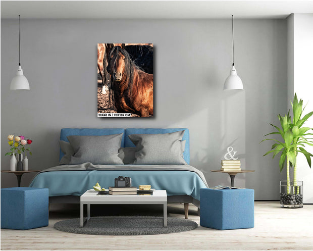 Majestic Mustang Portrait - Copper Bay Horse with Flowing Black Mane - Western Equine Wall Art