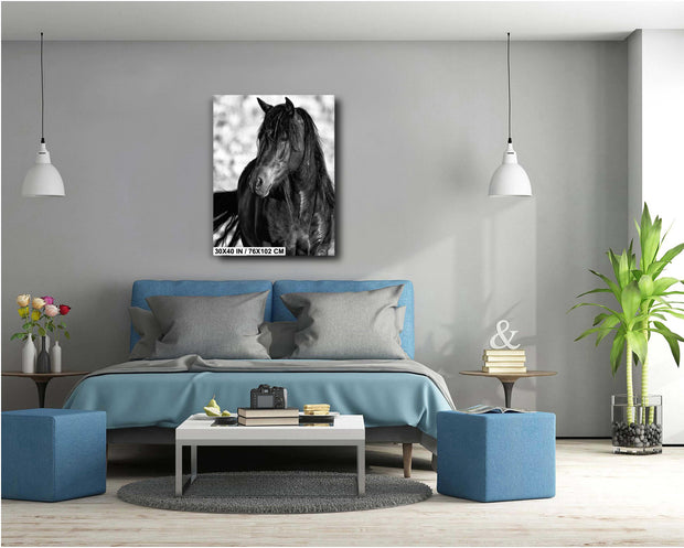 Wild Horse Wall Art "Shadow Stallion" - Black & White Mustang Portrait - Western Photography