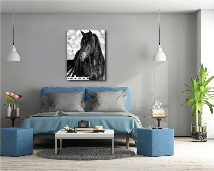 Wild Horse Wall Art "Shadow Stallion" - Black & White Mustang Portrait - Western Photography