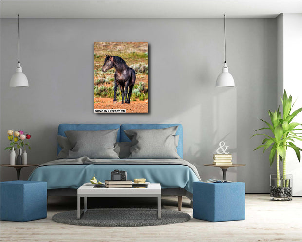 Desert Sovereign - Black Mustang Photography - Wild Horse Wall Art - Western Landscape Decor