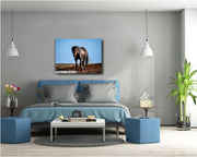 Midnight Majesty Wild Horse Wall Art - Dark Stallion Photography - Western Desert Freedom