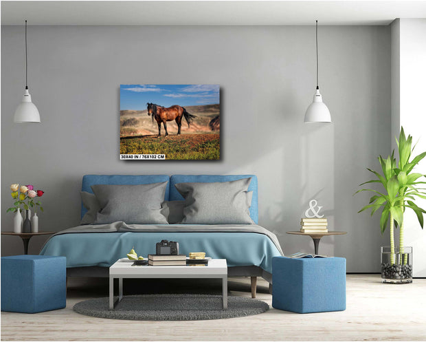 Majestic Wild Mustang Wall Art - Bay Horse on Desert Ridge - Western Wildlife Photography