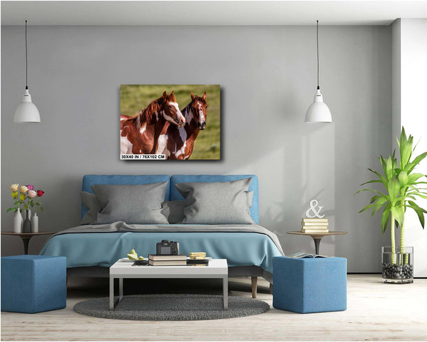 Majestic Paint Horses Wall Art - Wild Mustang Photography - Western Ranch Decor - Equine Art