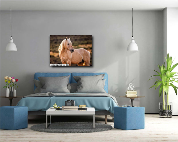 Golden Mane Palomino - Wild Horse Fine Art Photography - Western Wilderness Wall Art