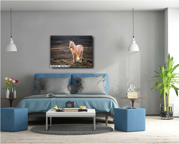 Golden Spirit - Palomino Wild Horse Photography - Western Sage Landscape Art