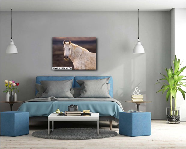 Ethereal Speckled Mustang Wall Art - Wild Horse Portrait - Cream Dappled Equine Decor