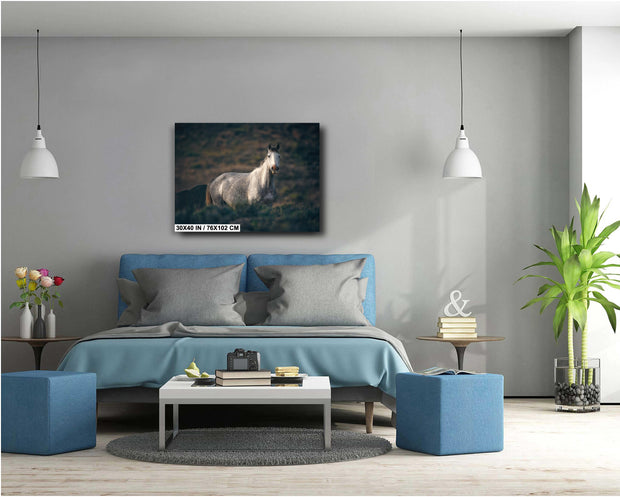 Dusk Sentinel - Wild Mustang Photography - Gray Horse Wall Art - Western Wildlife Decor