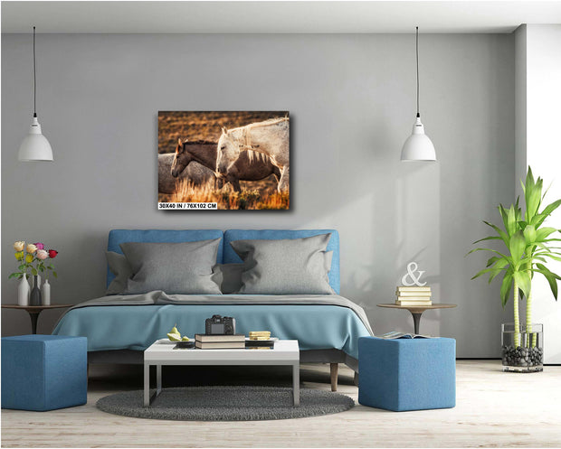 Sunset Embrace - Wild Mustang Duo Photography - Amber Prairie Western Horse Wall Art