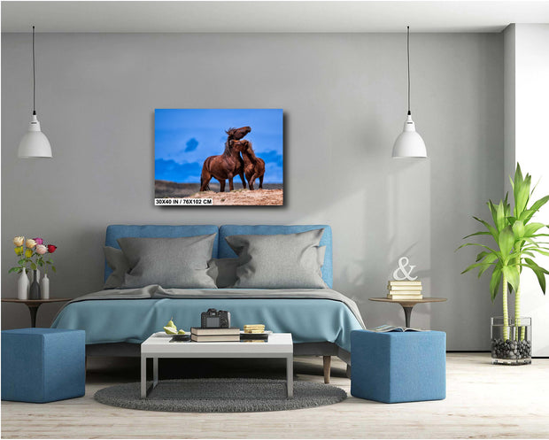 Untamed Affection - Wild Mustang Duo Canvas Art - Western Horse Photography