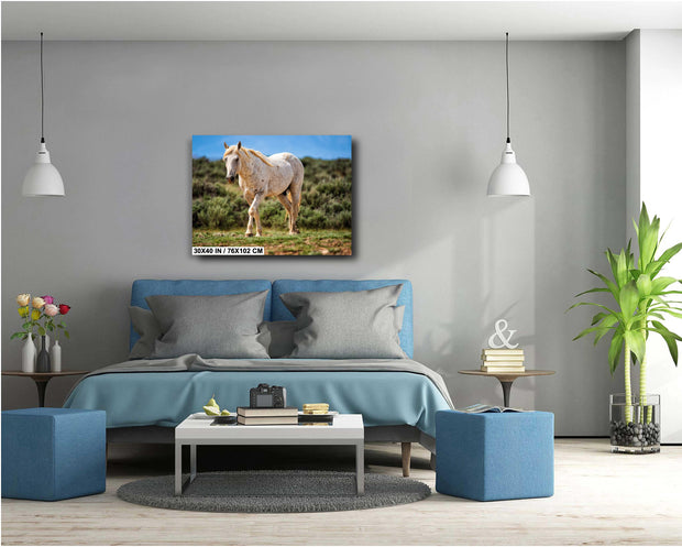 Ivory Spirit Wild Horse Photography - Golden Mane Mustang Wall Art - Sage Desert Decor