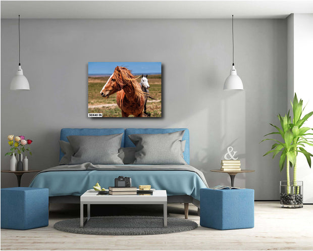 Sunlit Mustang Wall Art - Chestnut Horse with Flowing Mane - Western Wildlife Photography