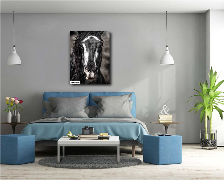 Striking Wild Horse Portrait - Black and White Mustang Canvas - Dramatic Equine Wall Art