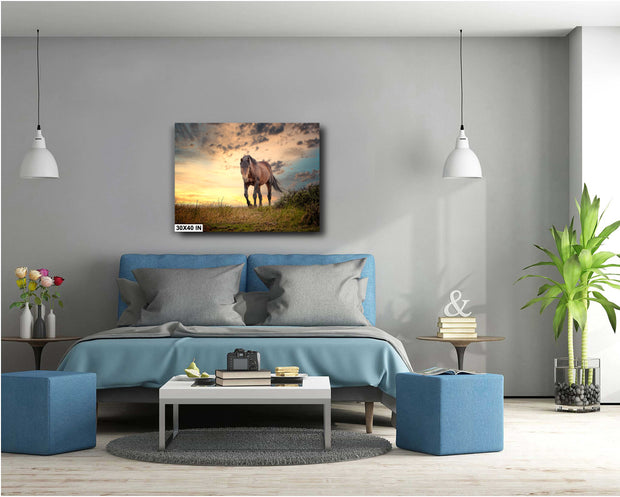 Wild Horse Photography Canvas Art - Golden Hour Mustang Print - Majestic Spirit Western Wall Decor