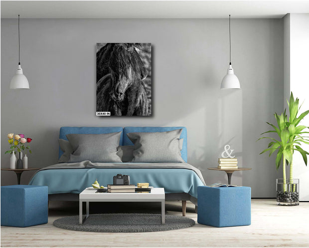 Mystic Gaze Horse Canvas Art - Black and White Equine Portrait - Tousled Mane Wall Decor