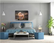Amber Glow Palomino - Wild Horse Photography - Rustic Western Wall Art Decor