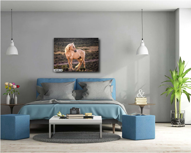 Amber Glow Palomino - Wild Horse Photography - Rustic Western Wall Art Decor