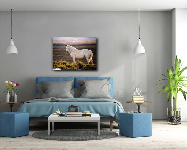 Prairie Ghost - White Mustang Canvas Art - Wild Horse Photography - Western Sunset Decor