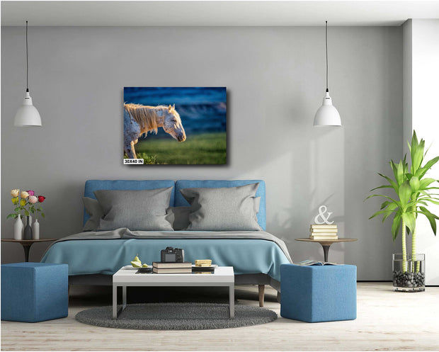 Dusk Light Wild Horse Photography - Speckled White Mustang Art - Western Wildlife Canvas
