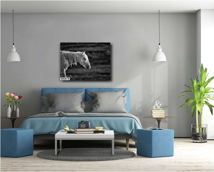 Weathered Spirit - Wild Horse Black and White Photography - Monochrome Mustang Wall Art