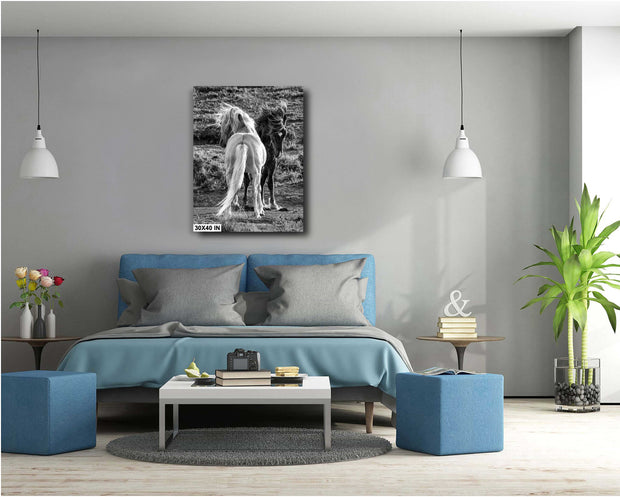 Wild Horse Contrast Black and White Canvas Print - Wind Tossed Manes - Western Art Decor