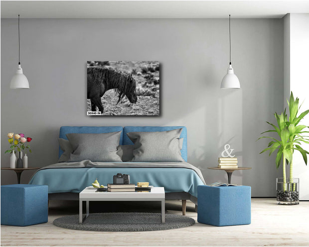 Rugged Spirit Wild Horse Art - Black and White Mustang Photography - Western Wilderness Decor
