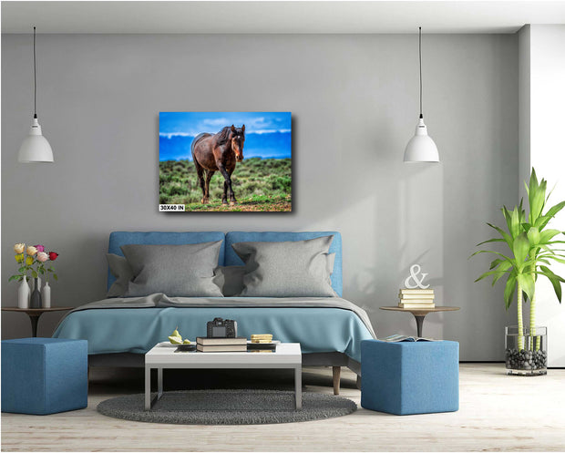 Untamed Spirit Mustang Canvas - Western Wilderness Photography - Sage Prairie Wall Art